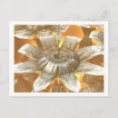 Pesquisar por gráficos digitais cartoes postais Design