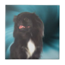 Pesquisar por pekingese Azul