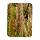 Pesquisar por macro fotografia Natureza