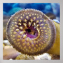 Pesquisar por mouth pôsteres Boca