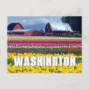 Pesquisar por washington cartoes Natureza
