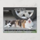Pesquisar por meme do gato cartoes postais Memes