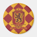 Pesquisar por gryffindor imas Quidditch