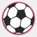 Pesquisar por futebol feminino adesivos Rosa