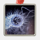 Pesquisar por pilhas ornamentos Horizontal