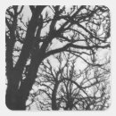 Pesquisar por michele adesivos França