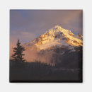 Pesquisar por capuz imas Floresta