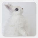 Pesquisar por coelho branco adesivos Fofofo
