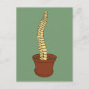 Pesquisar por anatomia humana cartoes postais Médico