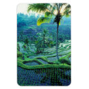 Pesquisar por bali imas Paisagem