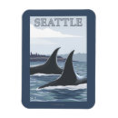 Pesquisar por whale imas Orca