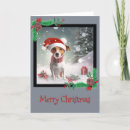 Pesquisar por jack russell terrier cartoes Neve