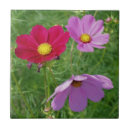 Pesquisar por rosa vermelha azulejos Mother