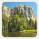 Pesquisar por michele adesivos Verde