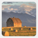 Pesquisar por madeira velha Fazenda