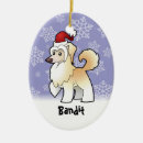 Pesquisar por chineses com ornamentos Animal
