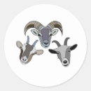Pesquisar por cabras engraçadas adesivos Animal