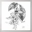 Pesquisar por desenhos frutas pôsteres Esboço
