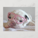 Pesquisar por french bulldog cartoes postais Domestic animals