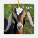 Pesquisar por goat ornamentos Animal