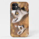 Pesquisar por lemur capas Mamífero