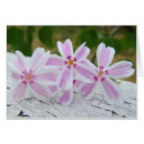 Pesquisar por printemps Flores