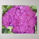 Pesquisar por flores roxas pôsteres Dia