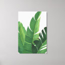 Pesquisar por plantas tropicais impressão de canvas Botânico
