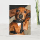 Pesquisar por cute dachshund cartoes Puppy