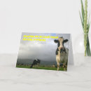 Pesquisar por funny cow cartoes Cattle