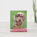 Pesquisar por dachshund puppy cartoes Cachorrinho