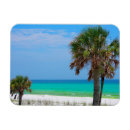 Pesquisar por praia florida imas Golfo