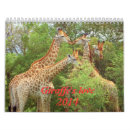 Pesquisar por girafa calendarios Natureza