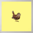 Pesquisar por passarinho pósteres pôsteres For kids