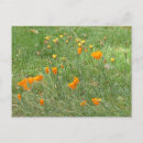 Pesquisar por flores azuis amarelas cartoes postais Qualquer pessoa