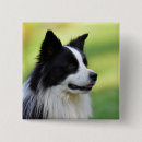 Pesquisar por retrato botons Animais