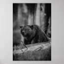 Pesquisar por preto e branco foto pôsteres Moderno