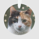 Pesquisar por calico ornamentos Fofo