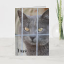 Pesquisar por donation cartoes Thank you