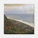 Pesquisar por ilha madeira imas Planta