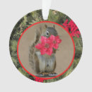 Pesquisar por canadense ornamentos Vermelho