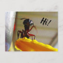 Pesquisar por ant cartoes postais Humor