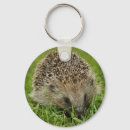 Pesquisar por espinhos chaveiros Animal