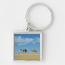 Pesquisar por camel chaveiros Deserto