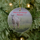 Pesquisar por decoração de cavalo ornamentos Xmas
