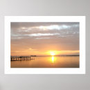 Pesquisar por dunedin florida Sol