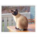 Pesquisar por gato siamese calendarios Felino