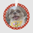 Pesquisar por animal novo ornamentos Engraçado