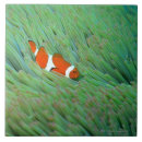 Pesquisar por peixes peixes azulejos Criaturas do sealife