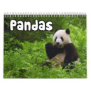 Pesquisar por panda calendarios Urso